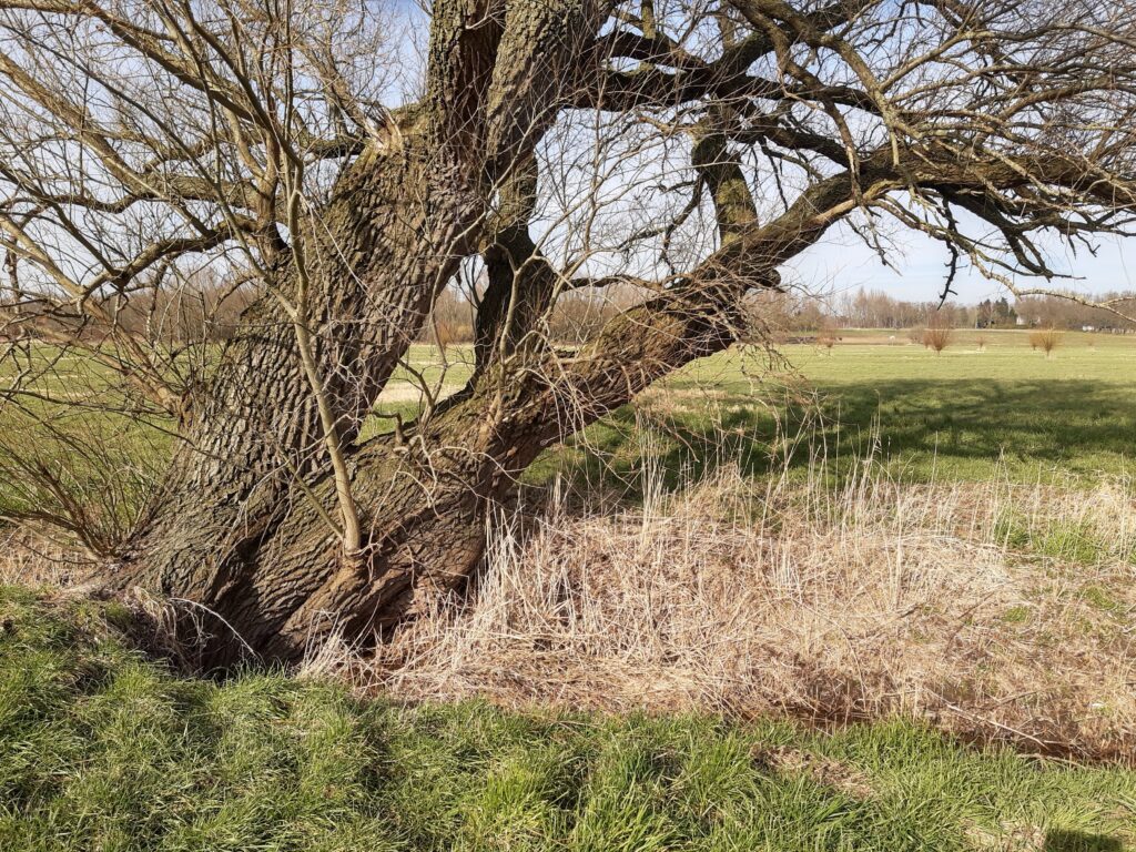 Land van Ons Perceel Halsteren 05