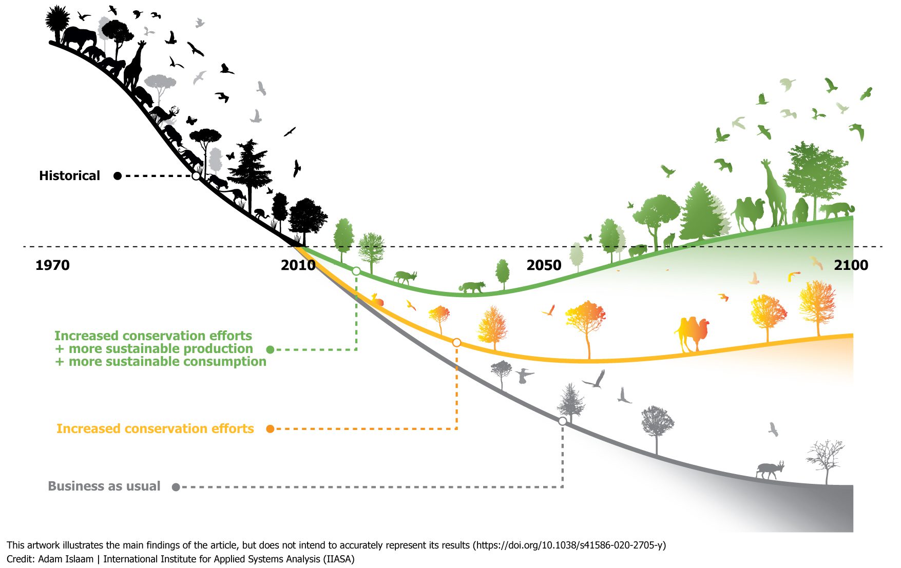 Het Belang Van Biodiversiteit - Land Van Ons