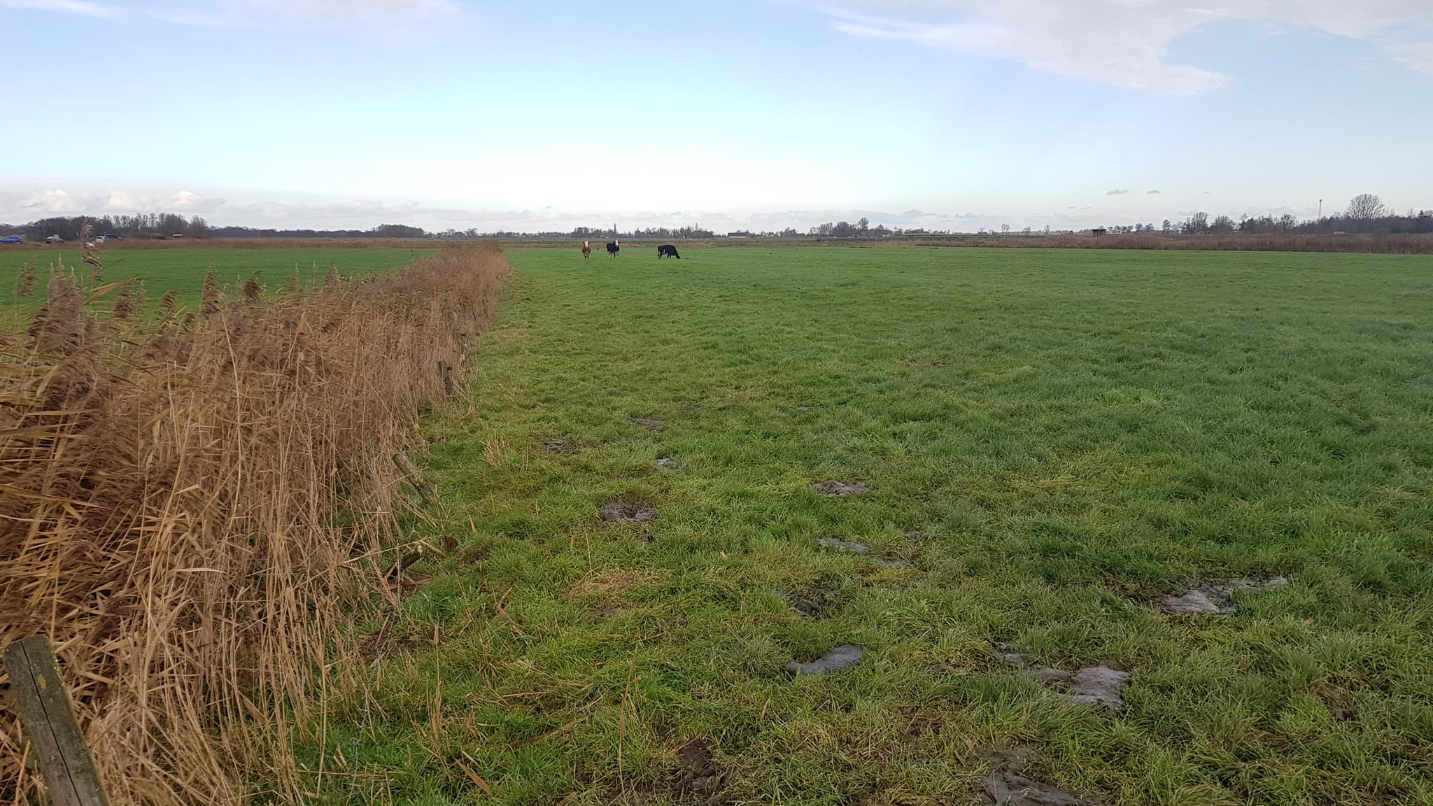 20201126 124050 header podcast