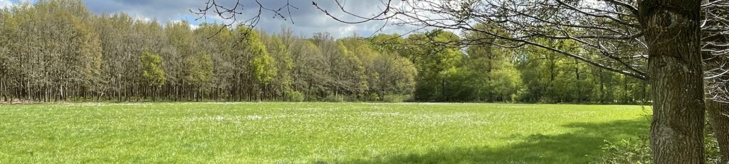 Land van Ons perceel Udenhout kopfoto