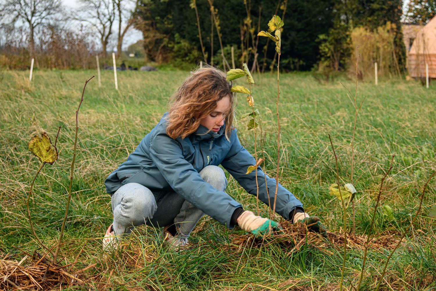 Boomplantdag Biesterhof 03