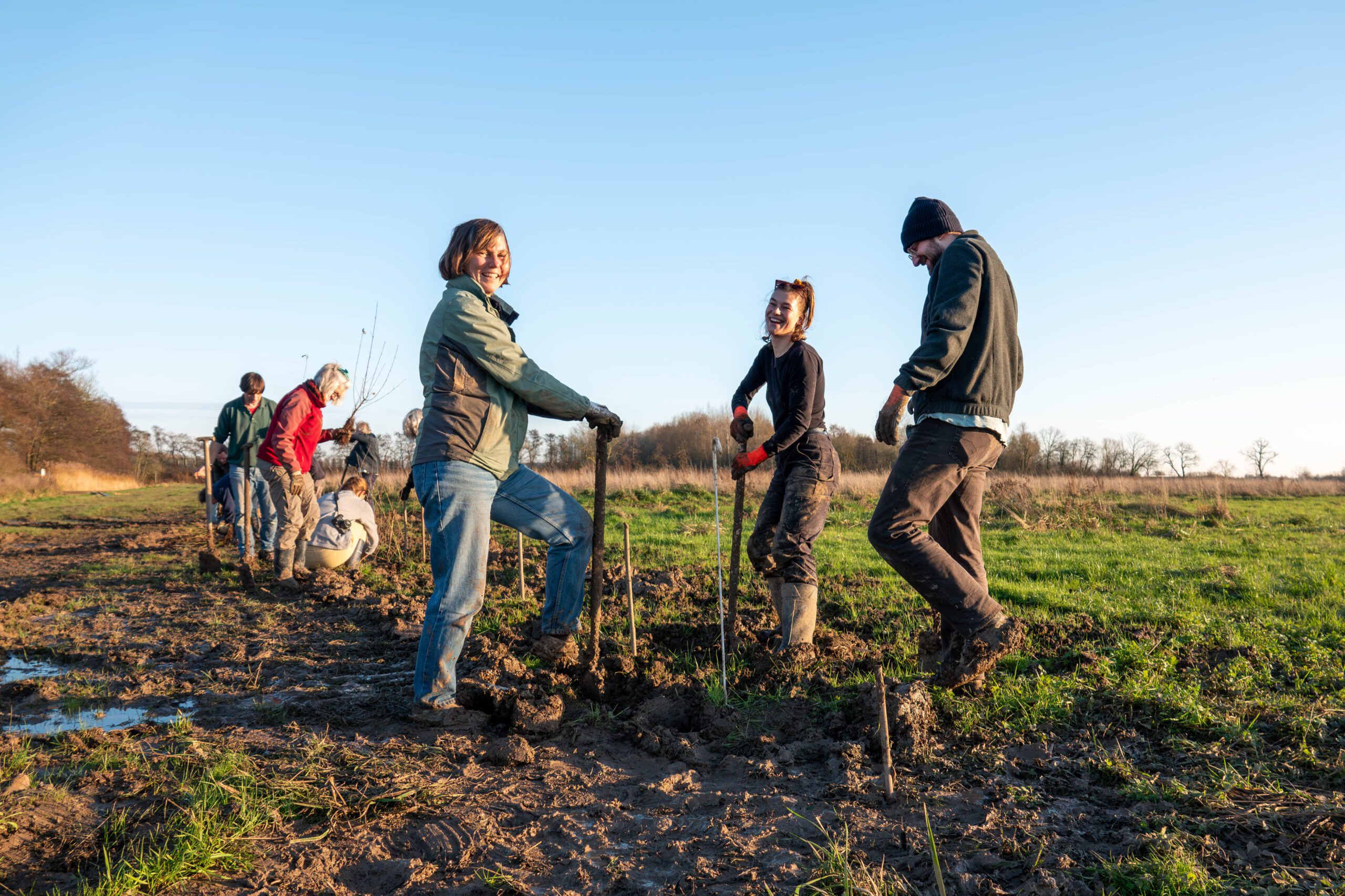 Voedselbos in aanplant op Land van Ons perceel Elst. Foto: Nils Couwenbergh