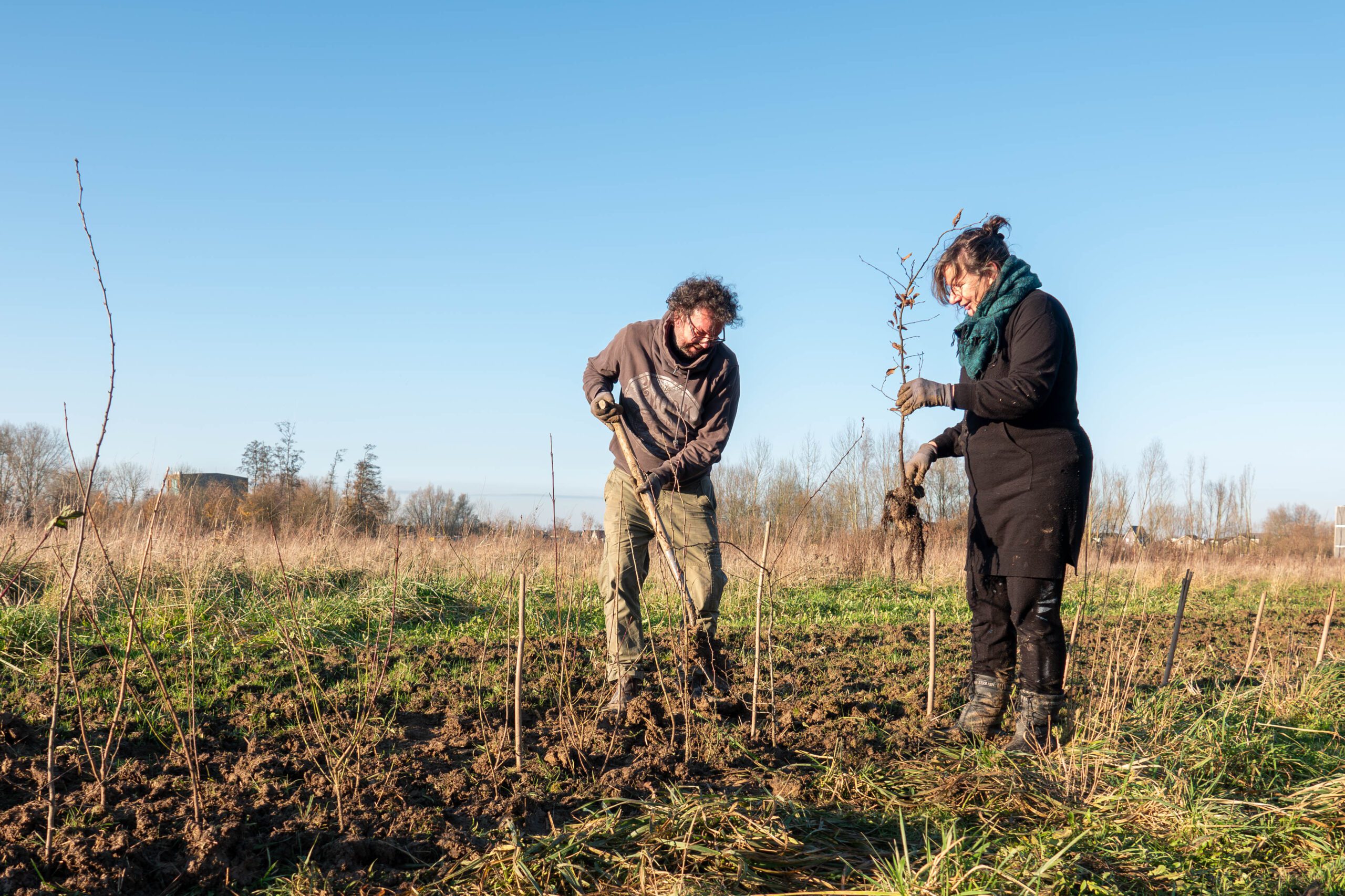 plantdag elst 2024