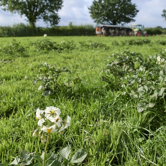 Land van Ons | Perceel Hummelo