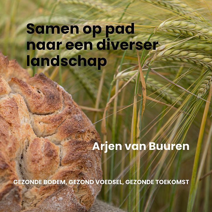 Leestip Arjen van Buren voorkant boek