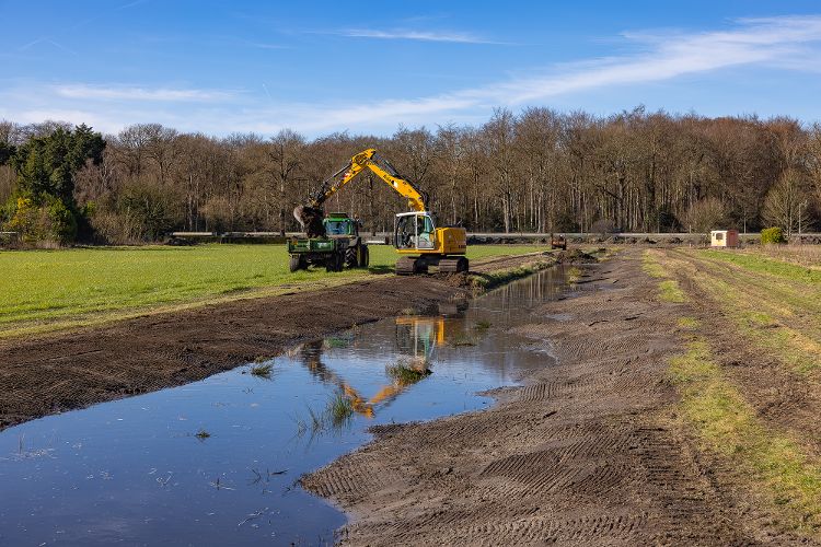 Van onze percelen, Wassenaar flauwe oever fotograaf Jan Peters