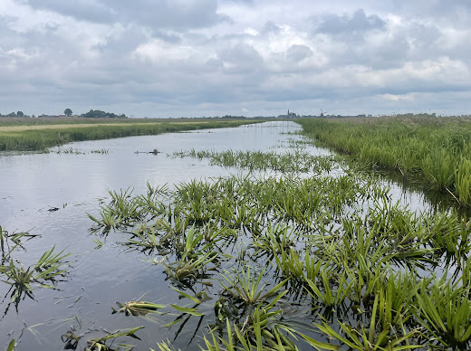 da5e9b3c 200f 49ab b015 05942974970e