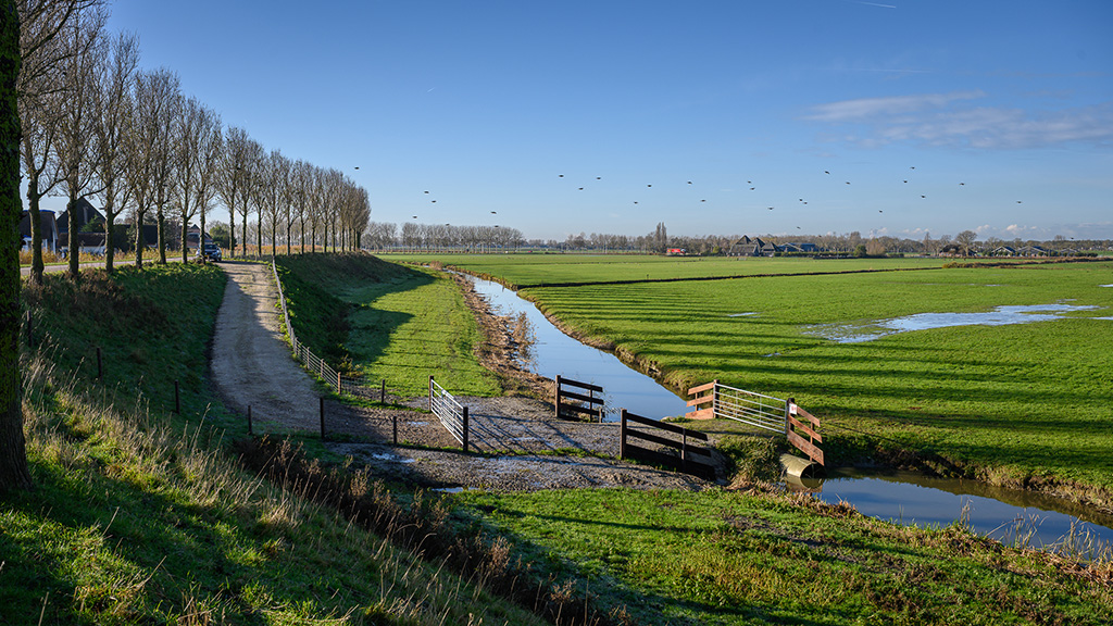 noordbeemster eigen toegangsweg fotograaf ellen van schravendijk