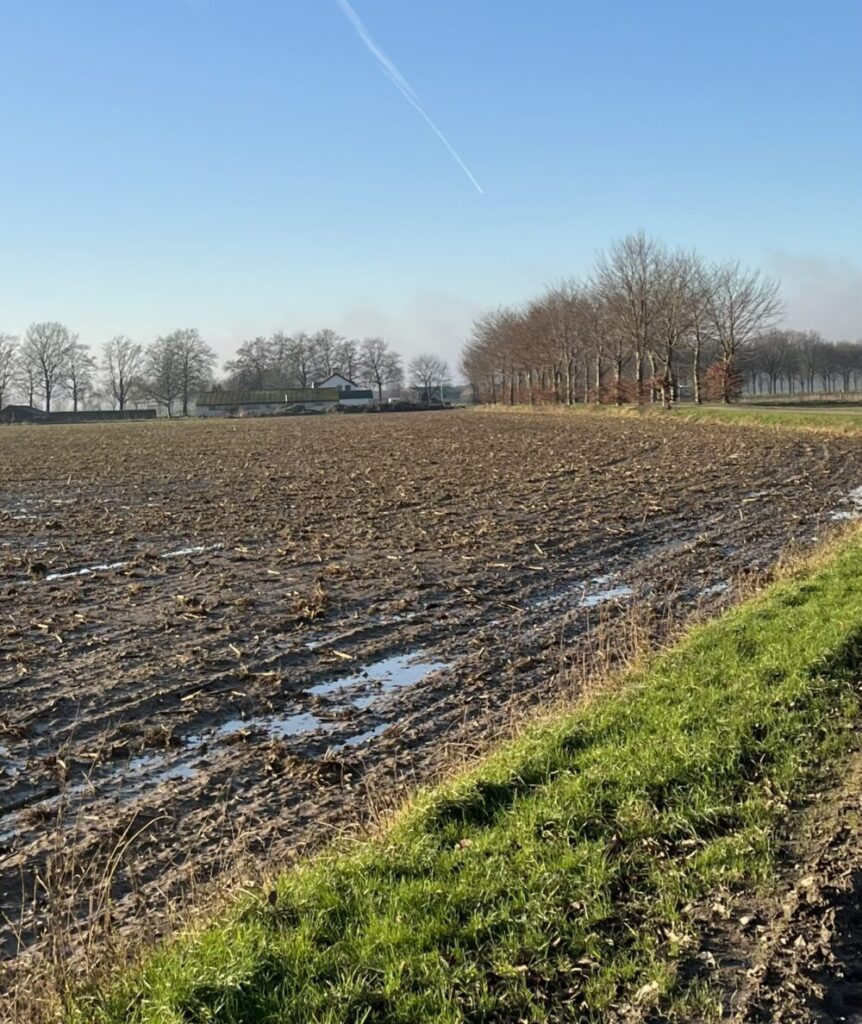 VOOR verslemping van de grond IMG 1107