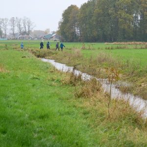 Begroeide natuurlijke over